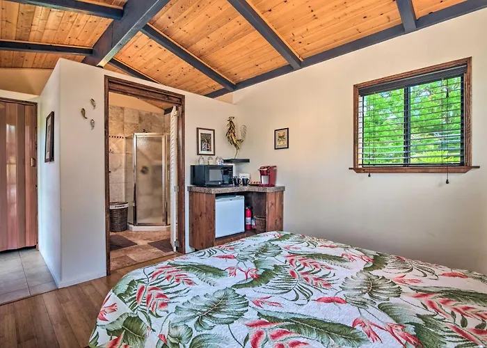 Cozy Volcano Studio With Phenomenal Rainforest Views