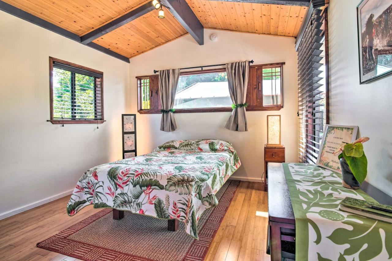Cozy Volcano With Phenomenal Rainforest Views Apartment