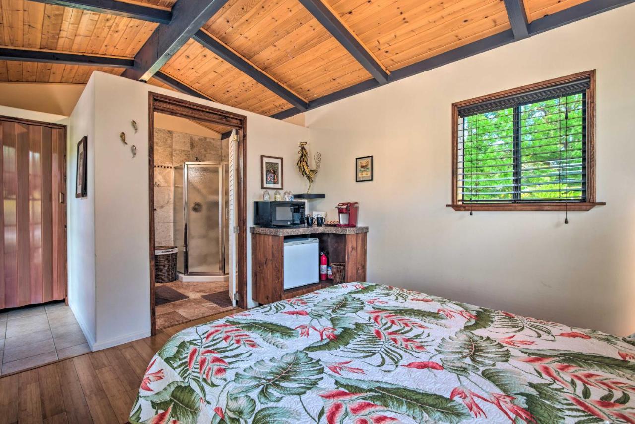 Apartment Cozy Volcano With Phenomenal Rainforest Views Mountain View