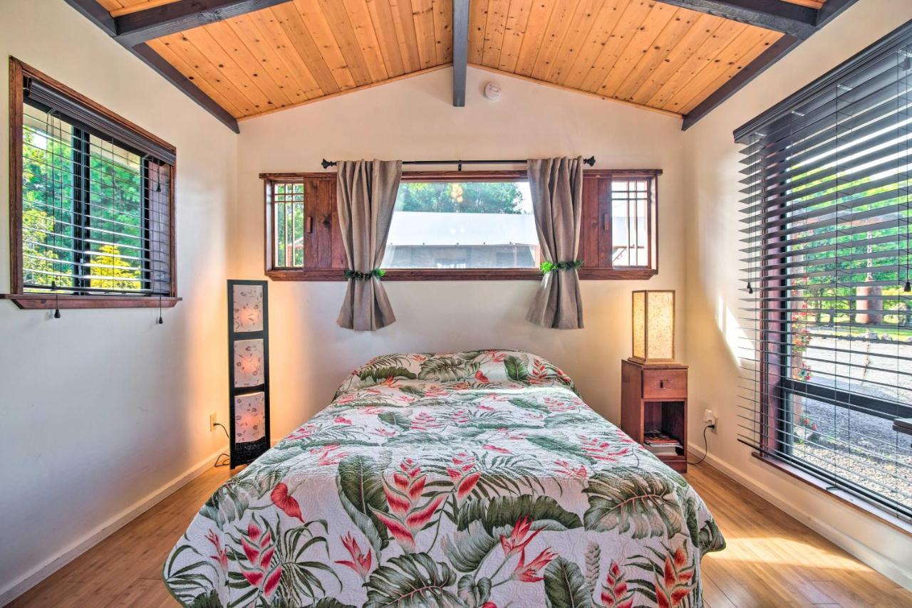 Apartment Cozy Volcano With Phenomenal Rainforest Views *