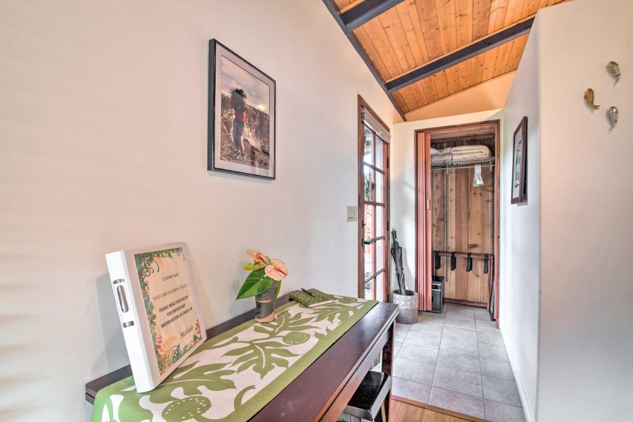 Apartment Cozy Volcano With Phenomenal Rainforest Views *
