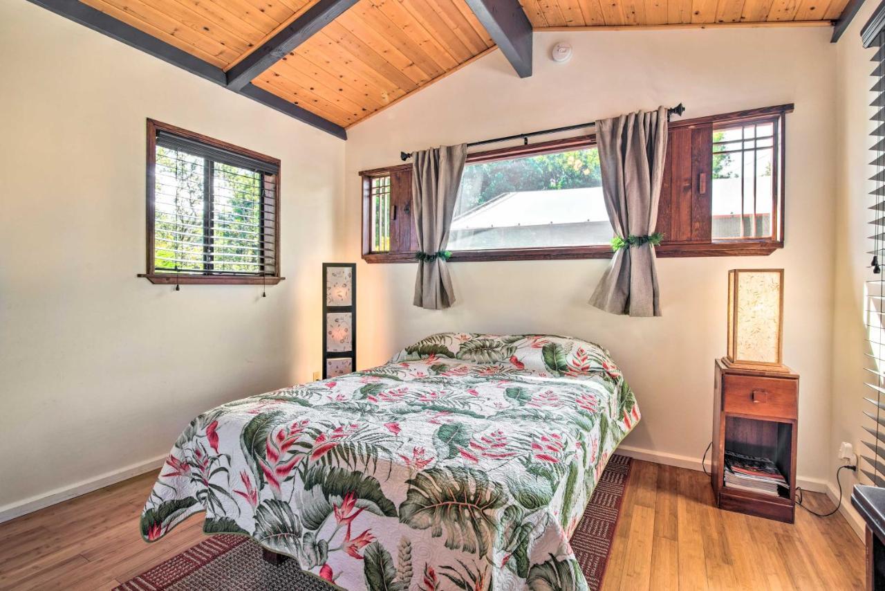 Apartment Cozy Volcano With Phenomenal Rainforest Views